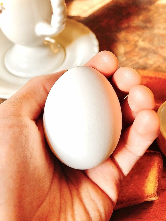 「コメダよりいいかも」びっくりドンキーの“500円以下モーニング”コーヒーおかわり自由なのが嬉しい!「穴場すぎる」「最強のコスパ」