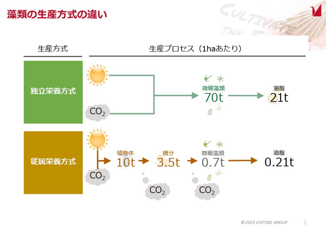 藻類の生産方式の違い