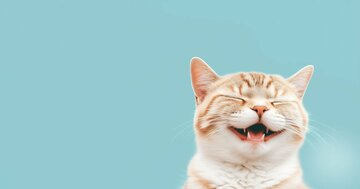 【やってない？】幸せが遠のく「NG習慣」ワースト1