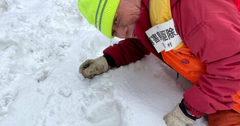 「300kg超のヒグマが消えた…」ベテラン猟師が見た〈山の異変〉、クマが人里へ出てくる意外な理由とは？