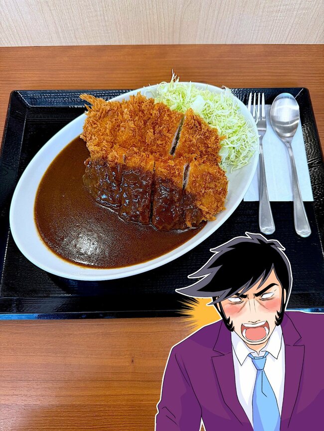 「想像の3倍でかいのきた！」かつやの“ボリューム満点メニュー”食べ応えバツグンで大満足！「超腹いっぱい」「カツが多すぎる」