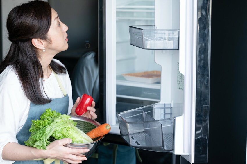 【農家が本気で伝えたい！】野菜を冷蔵庫に入れるとき、絶対にやめてほしい行為