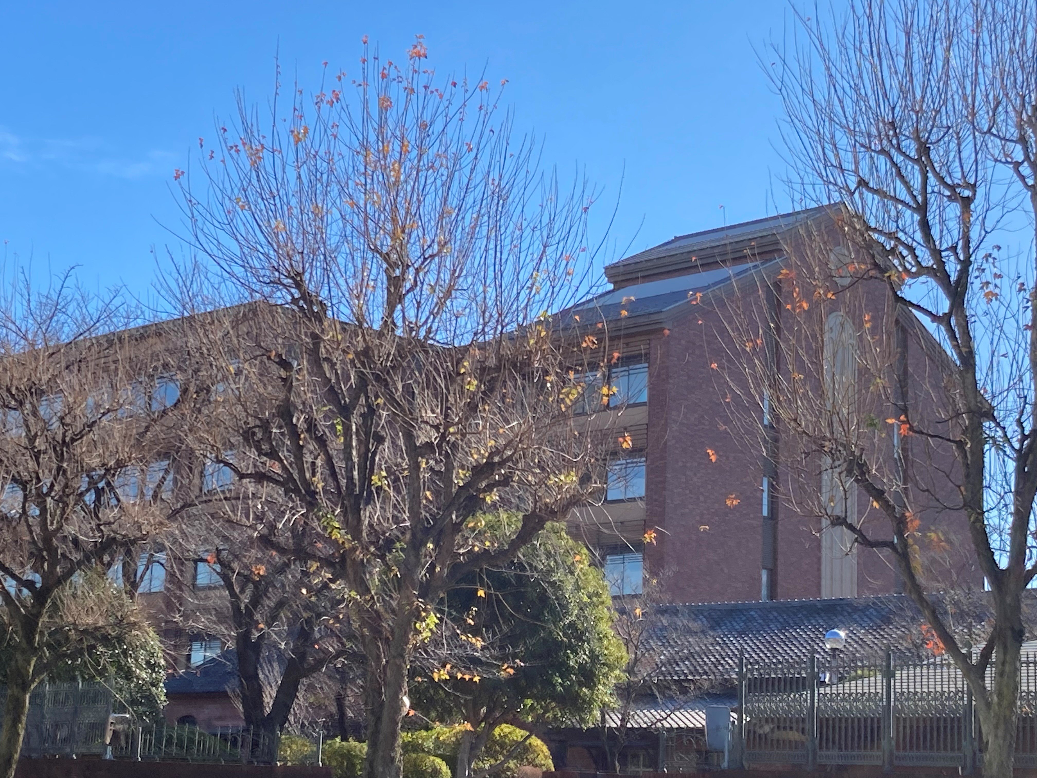 首都圏「中高一貫校」最終予想倍率・女子受験生編【中学受験2024】