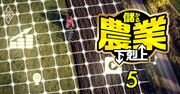 農業で「使える＆期待外れツール」ランキング2023！期待外れ4位はメルカリ、1位は？