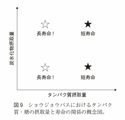 図9：ショウジョウバエにおけるタンパク質・糖の摂取量と寿命の関係の概念図