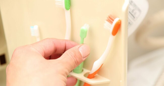並んだ歯ブラシ