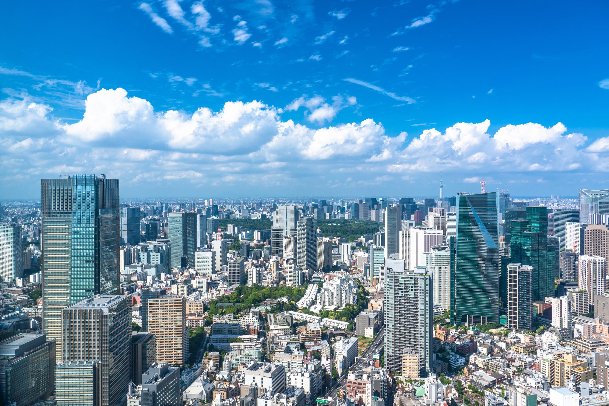 三井不動産と三菱地所、不動産2社の「採用大学」ランキング2022最新版【全10位・完全版】