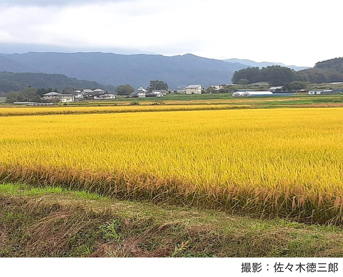 SDGsについて、東北の高校生たちが知って、考え、動いたこと