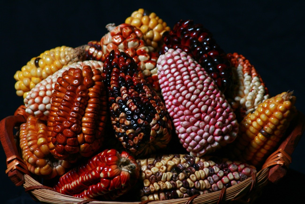 【ビジネスマンの食の教養】王道フレンチはもう古い?世界の食のトレンドが向かう先は?