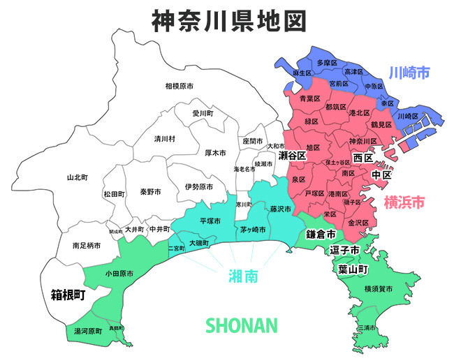 神奈川県第4区 (中選挙区)