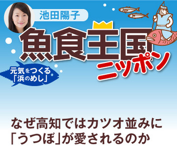 なぜ高知ではカツオ並みに「うつぼ」が愛されるのか