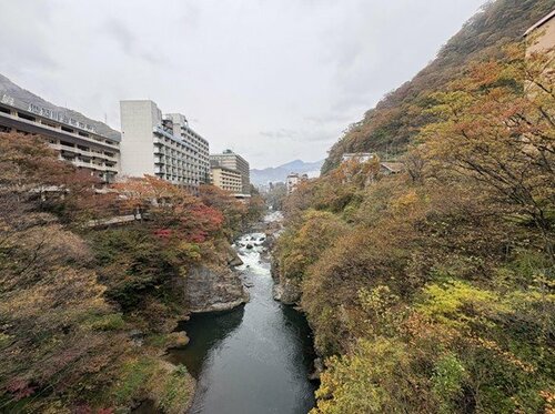 鬼怒川温泉の廃墟ホテル群が暗示する「インバウンド依存」の観光地の末路