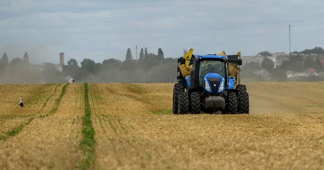 ウクライナ・キエフ地方で小麦を収穫する様子