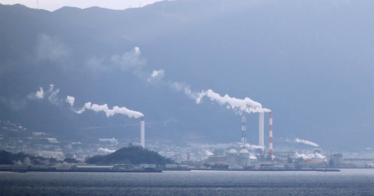 【独自】名門・丸住製紙の破綻前にコンサル大手が策定した再生計画を入手！内部資料が明かす業績悪化の「真因24項目」の全容