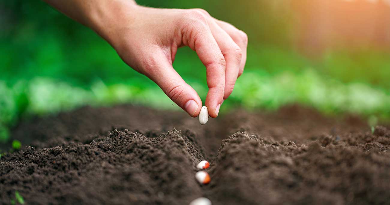 なぜ、名シェフたちは今、「雲仙」に注目するのか？