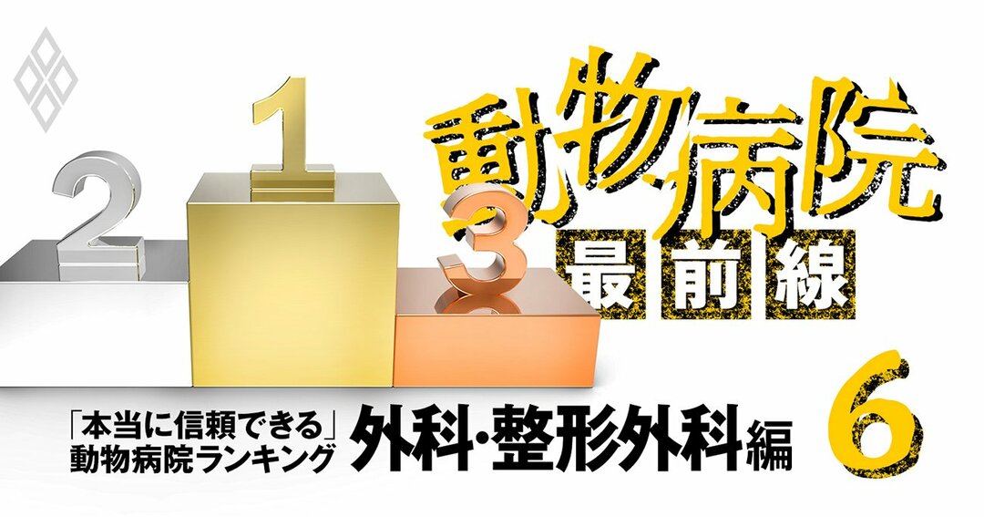 本当に信頼できる 動物病院ランキング 外科 整形外科 他院が見放した病状にも挑むのは 動物病院の最前線 ダイヤモンド オンライン