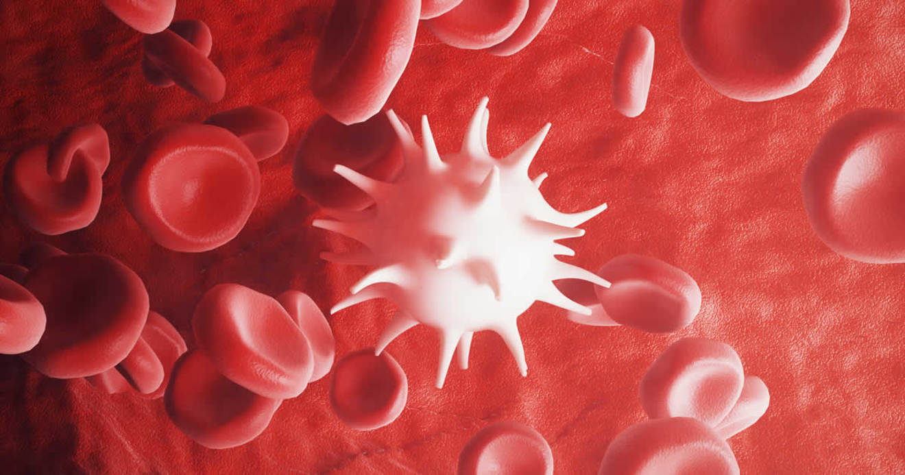 漫画 はたらく細胞 なら 本庶佑博士のノーベル賞受賞テーマも理解できる おとなの漫画評 これは面白くて役に立つ ダイヤモンド オンライン