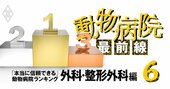 「本当に信頼できる」動物病院ランキング【外科・整形外科】他院が見放した病状にも挑むのは？