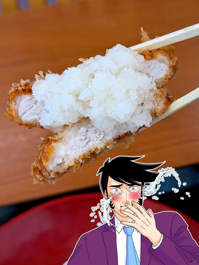 いくらなんでも盛りすぎだよ…!かつやの“ボリューム満点メニュー”豚汁もついて大満足です!「お腹パンパン」「元気出る」《実食レビュー》