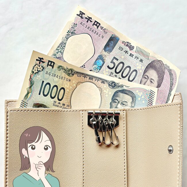 ミニ財布にちょうどいい…！ダイソーの「お札が入るキーケース」カードが10枚も収納できて天才すぎる！《購入レビュー》