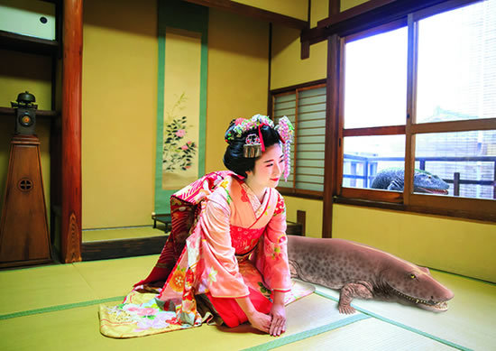 芸妓さんに並んで三つ指(?)ついてかしこまっているのは、イクチオステガ・ステンシオエイ