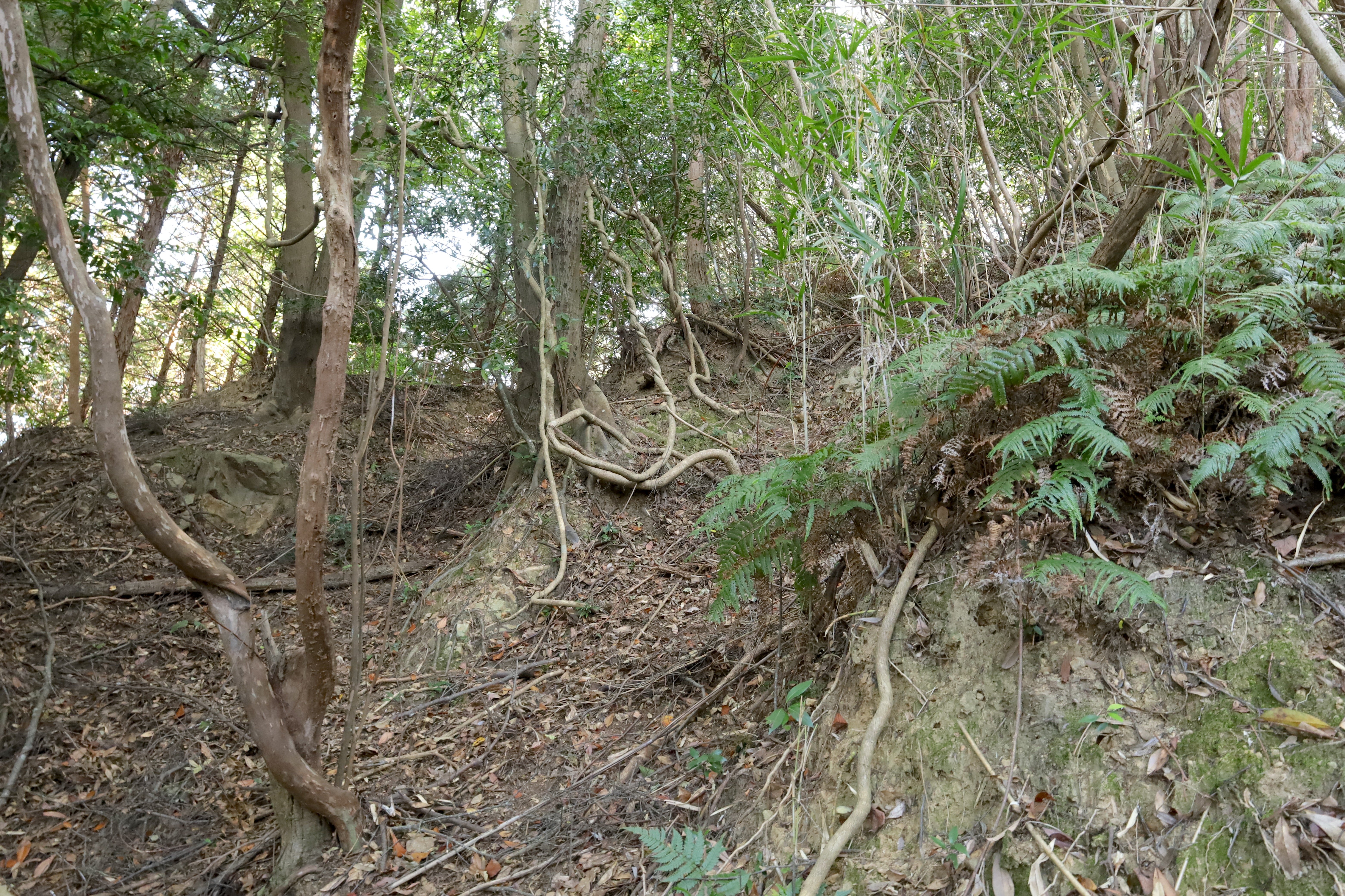 鶴賀城の畝城竪堀群
