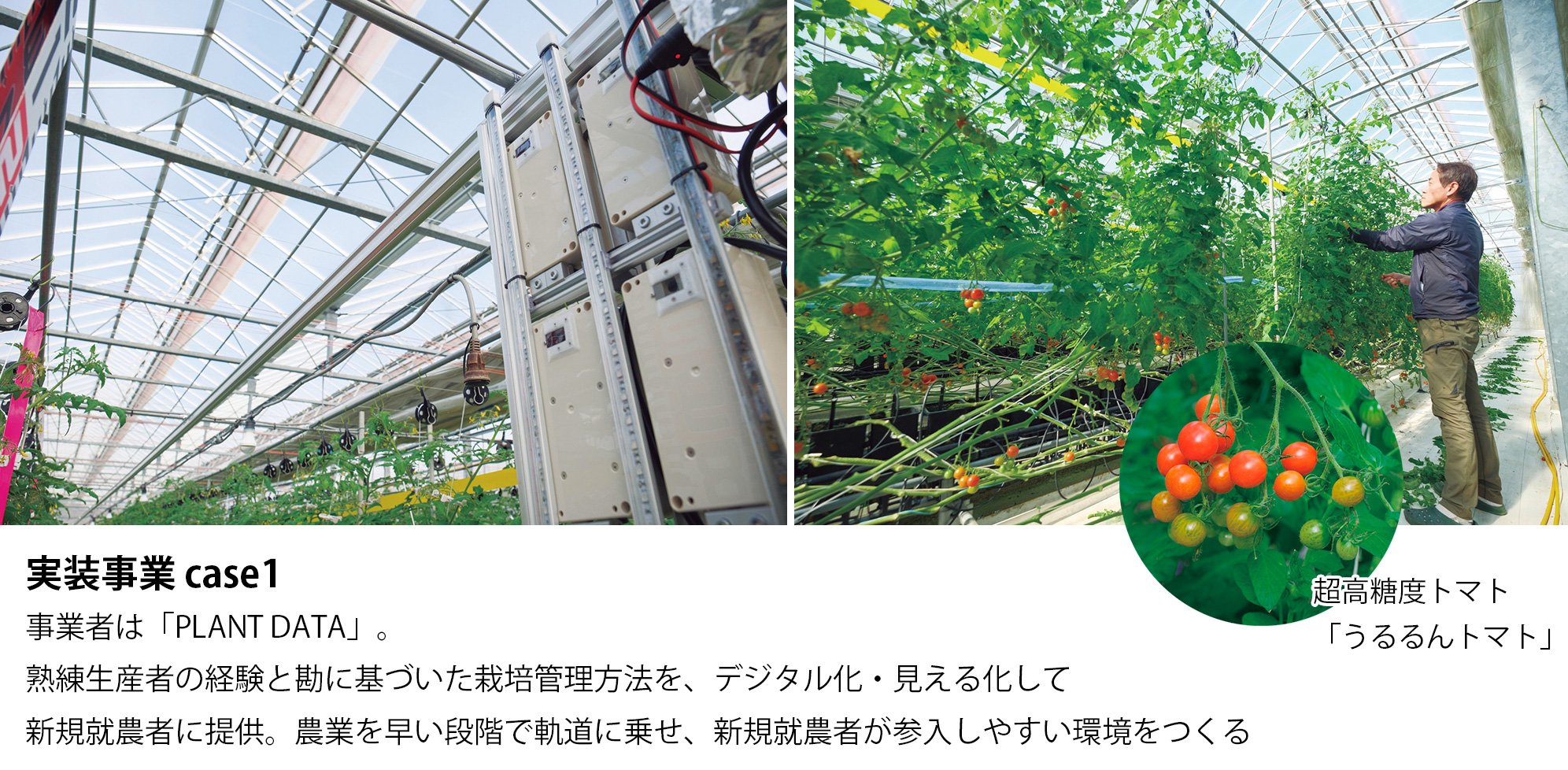 愛媛を“デジタル実装の聖地”に~デジタル技術で 地域課題を解決する企業を公募