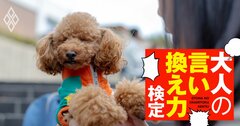 「うちの犬、どの服が似合う？」興味ゼロな同僚の問いにどう答える？【大人の言い換え力検定】