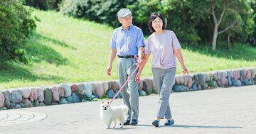 犬を飼ったことがある人は「要介護予備軍」になりにくい可能性