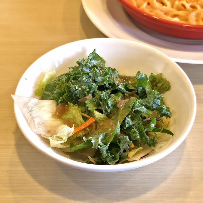 「全人類食べて」「かなり好きです」ガストの“平日ランチセット”美味すぎてソースまで完食しちゃった!「感動的なおいしさ」「定期的に食べたくなります」【実食レビュー】