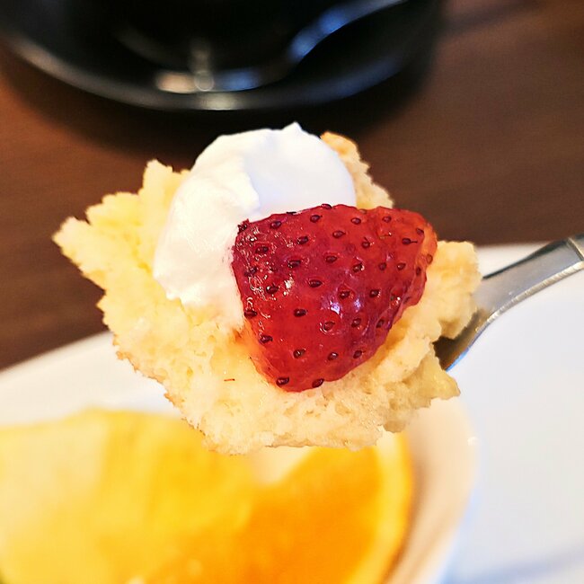 「うますぎて5分で完食」「ガチで食べると幸せ気分」【むさしの森珈琲】の“絶品モーニング”めっちゃふわふわで朝から幸福感スゴい！「おかわりしたい…」