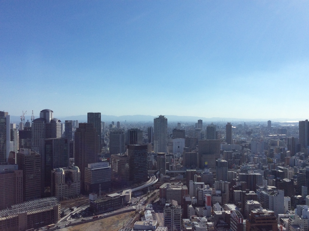 初調査!市内に続々と増えている<br />大阪タワーマンションの実力を測る