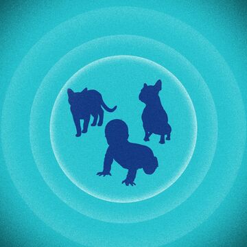 子どもの食物アレルギー、犬・猫同居で発症率低下＝研究