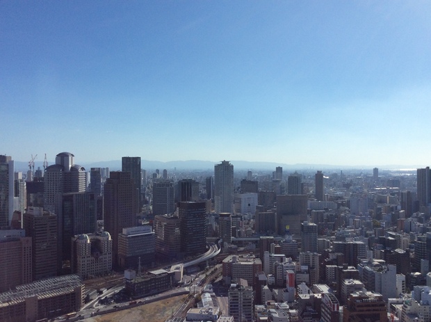 初調査！市内に続々と増えている<br />大阪タワーマンションの実力を測る