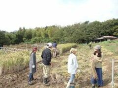 力わざだけでは猛威をふるう土砂災害に勝てない！真の防災対策は悲鳴を上げる「森林の再生」にあり