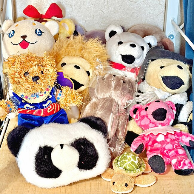 可愛すぎて毎日持ち歩きたい！3COINSの“ぬいぐるみになるエコバッグ”1泊分の荷物が入って実用的！「とても可愛いです」「旅行のお土産入れに使えます」《購入レビュー》