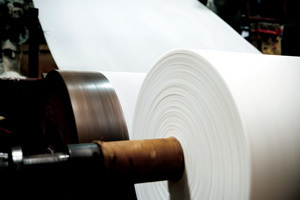 製紙業界で第三極形成が白紙に、3位以下の生き残りは？