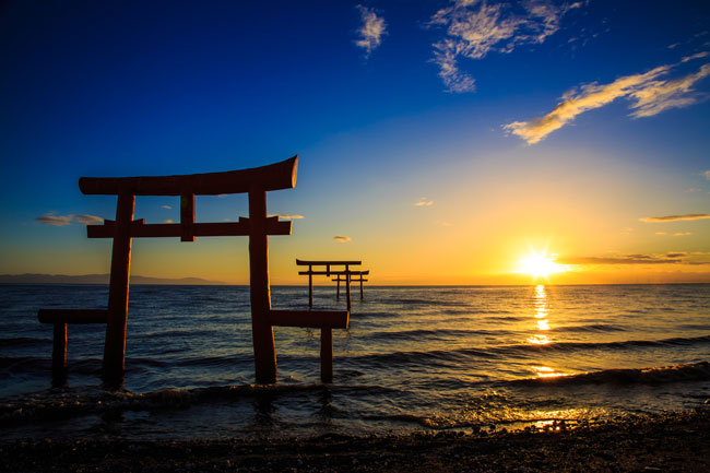 今年の日本の「景気予報」は?