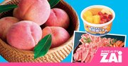 早めの準備が肝心！「ふるさと納税」で夏レジャーをおトクに楽しもう！