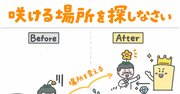 「置かれた場所で咲きなさい」という言葉を鵜呑みにしてはいけない