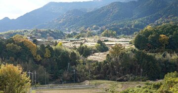 【老後】いらない土地を放棄する「意外な方法」とは?