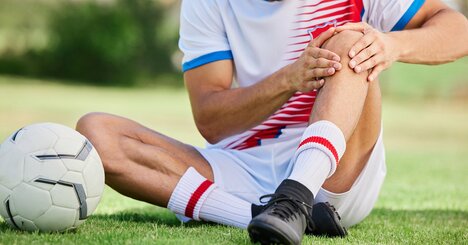 日本ハムが出資した早稲田大学発ベンチャー、「ウシの腱」でスポーツ選手を膝靭帯のケガから救えるか？