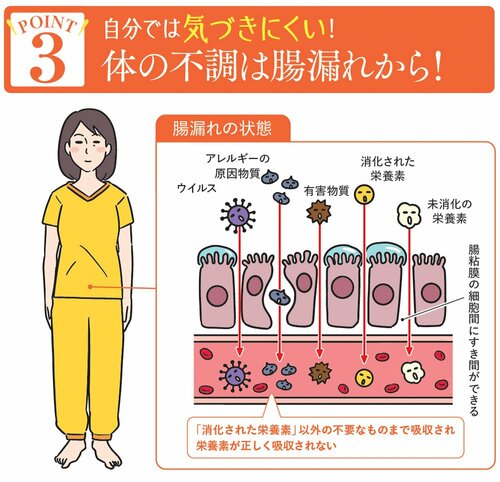 図表:体の不調は腸漏れから