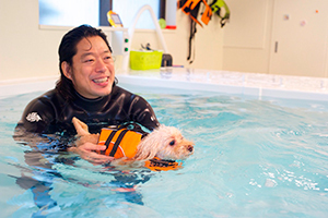 犬の平均寿命は30年で約2倍に!<br />知られざる超高齢化の実態