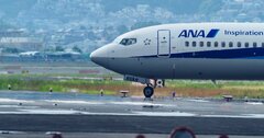 ANA・JALの6月旅客人数が超反動増でも、実態値で分かる「惨状」とは？