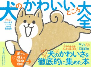 キリ　犬のかわいいところ大全 小さな柴犬こつぶの2000日観察記録 告知情報