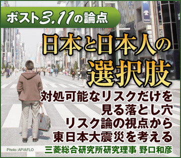 対処可能なリスクだけを見る落とし穴リスク論の視点から東日本大震災を考える――三菱総合研究所研究理事　野口和彦