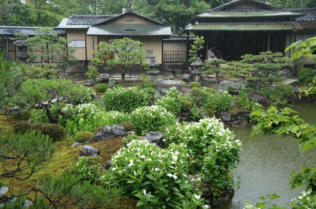 緑と白のコントラスト