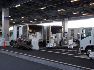 豊洲市場の屋外で行われる荷物の積込みや積み下ろし 豊洲市場の屋外で行われる荷物の積込みや積み下ろし