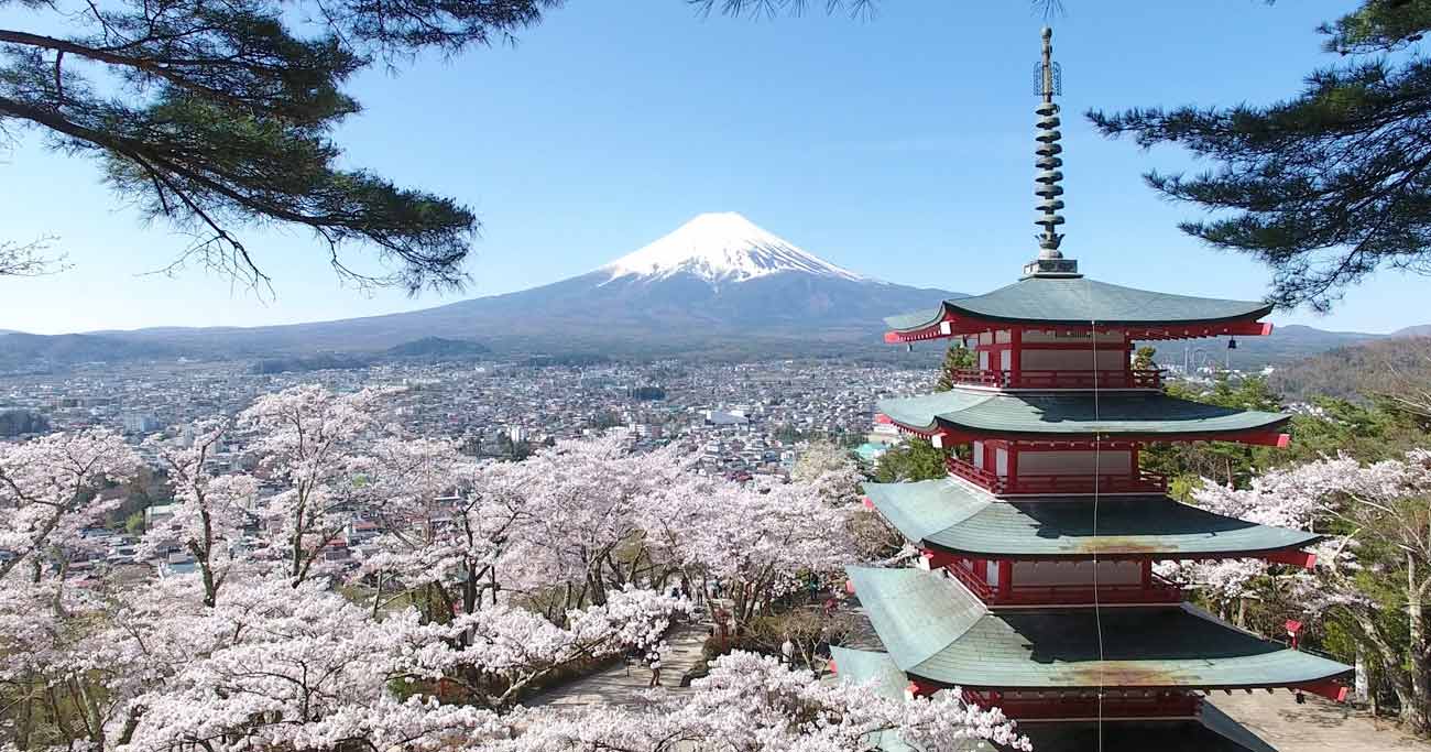 ドローンで見る日本の絶景、満開の桜と五重塔と富士山